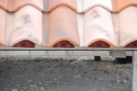 Universal Vogelschutzkamm Traufkämme Typ2 groß (anpass-/zuschneidbar)